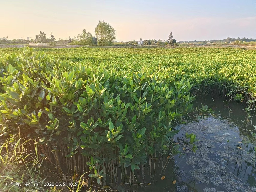 產(chǎn)品展示八